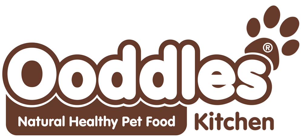 Ooddles Logo