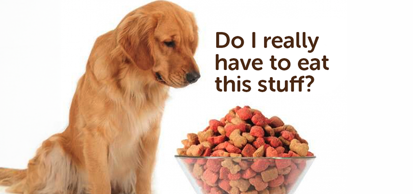 Do you know what your feeding your dog?