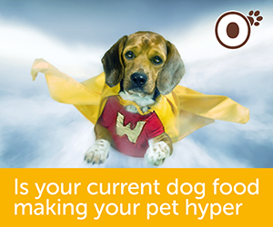 Is your current dog food making your pet hyper