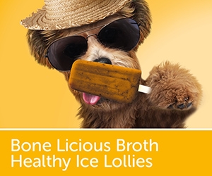 Bone Licious Broth  Healthy Ice Lollies