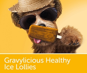 Gravylicious Healthy Ice Lollies