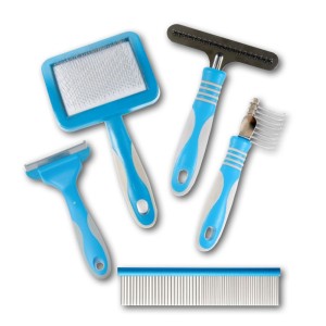 Essential Grooming Tools, Shampoo and Accessories