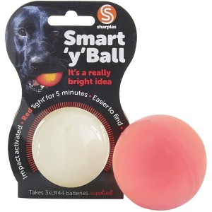 Smart Ball LED Light
