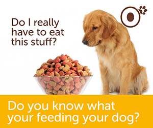 Do you know what your feeding your dog?