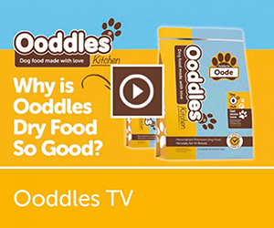 Ooddles TV